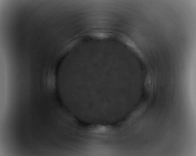 X0000092250330200709211106