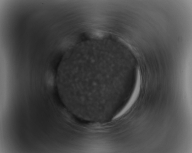 X0000092250331200709211106