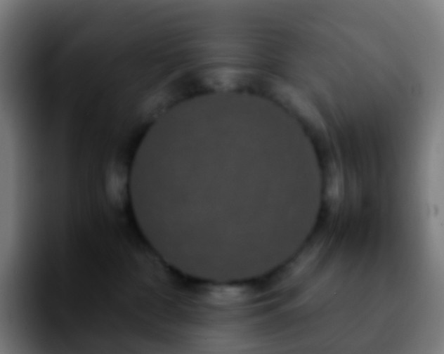 X0000092250332200709211106