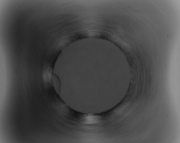 X0000092250336200709211106