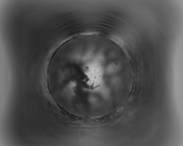 X0000092250337200709211105