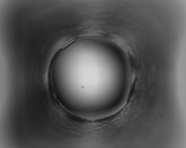 X0000092250340200709211105