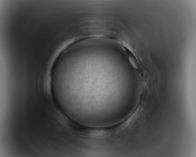 X0000092250342200709211105