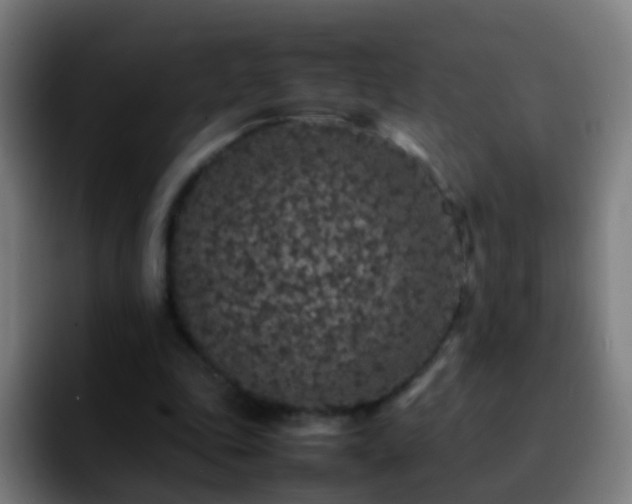 X0000092250343200709211105