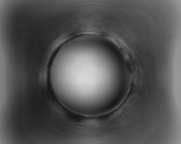 X0000092250344200709211105