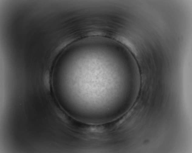 X0000092250345200709211105