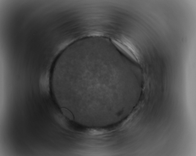 X0000092250346200709211105