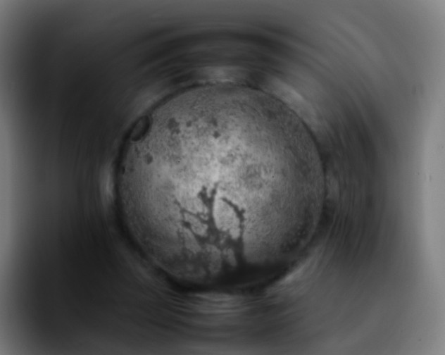 X0000092250347200709211105