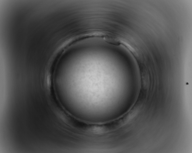 X0000092250350200709211105