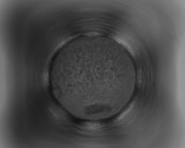 X0000092250351200709211105