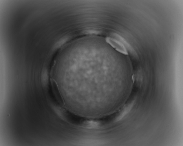 X0000092250352200709211105