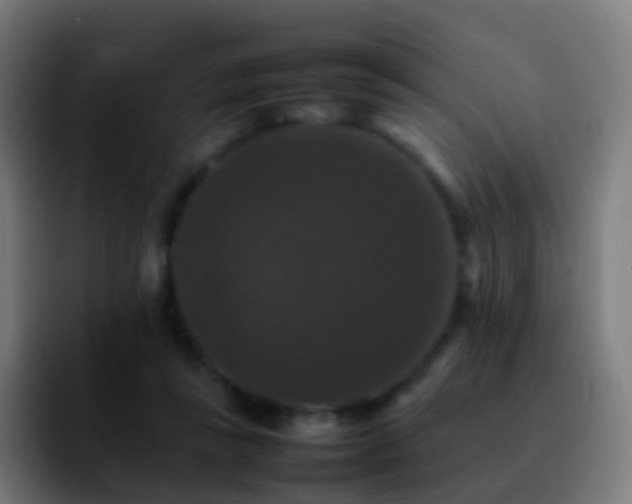 X0000092250355200709211105