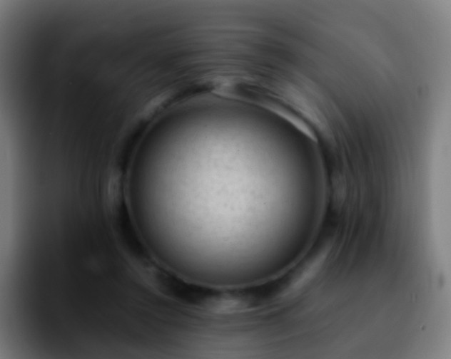 X0000092250356200709211105