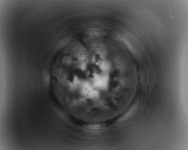 X0000092250357200709211105