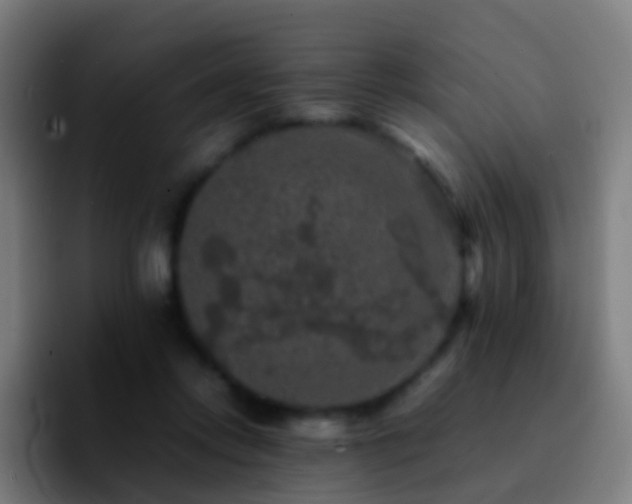 X0000092250358200709211105