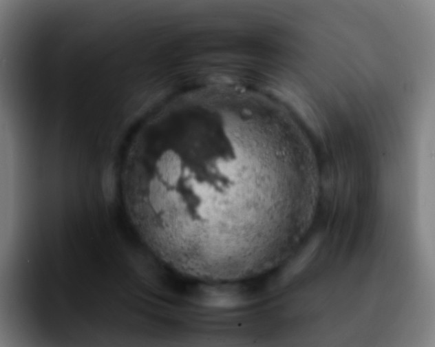 X0000092250359200709211105