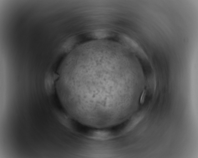 X0000092250360200709211105