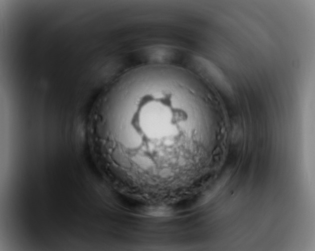 X0000092250363200709211105