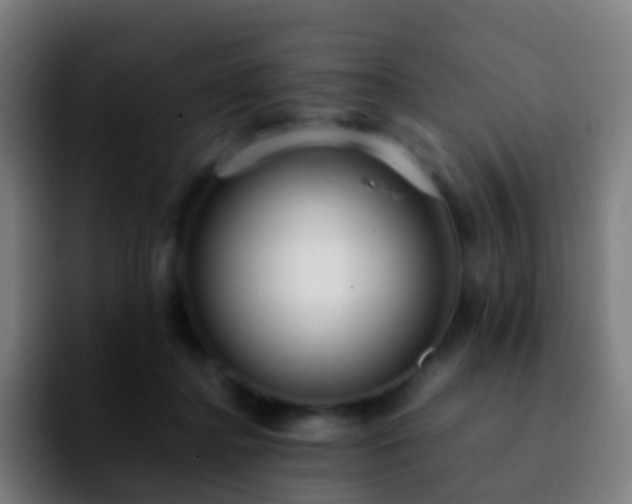 X0000092250364200709211105