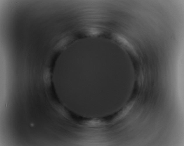 X0000092250366200709211105