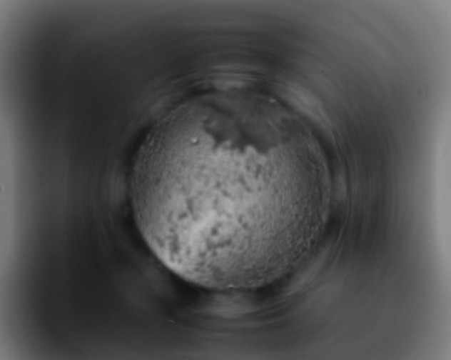 X0000092250367200709211105