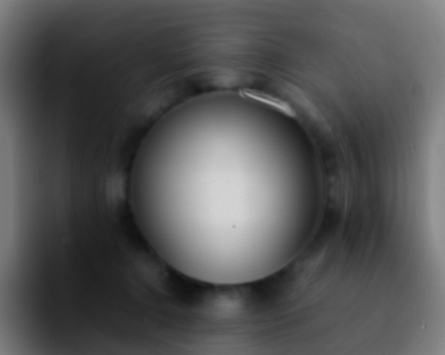 X0000092250368200709211105