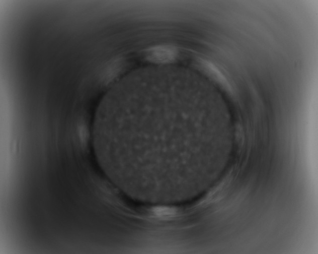 X0000092250371200709211105