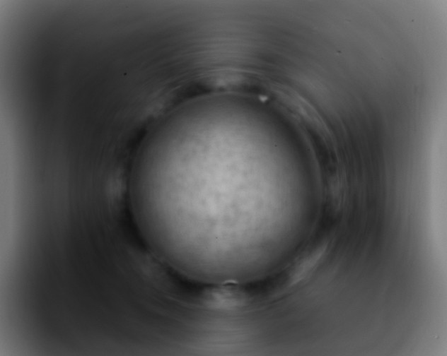 X0000092250372200709211105