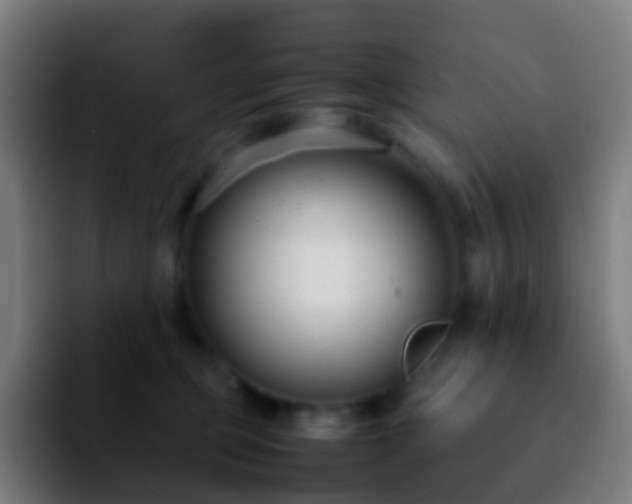 X0000092250373200709211105