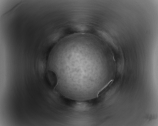 X0000092250376200709211106