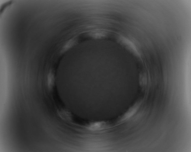 X0000092250382200709211106