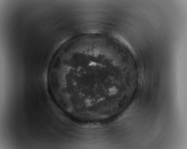 X0000092250386200709211105