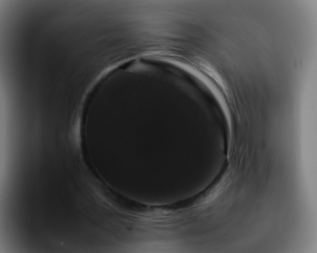 X0000092250387200709211105