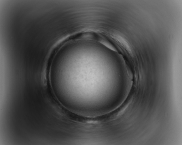 X0000092250388200709211105