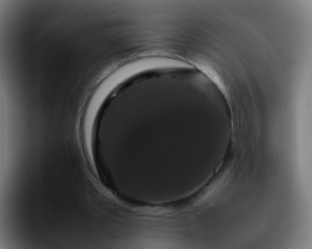 X0000092250389200709211105