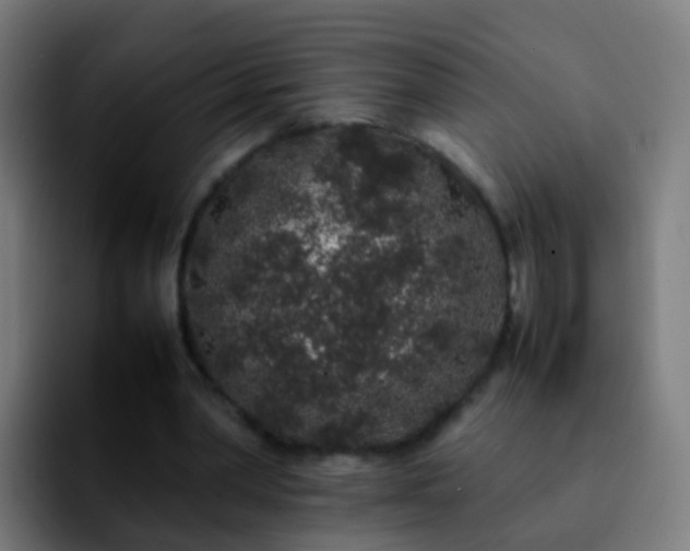 X0000092250390200709211105