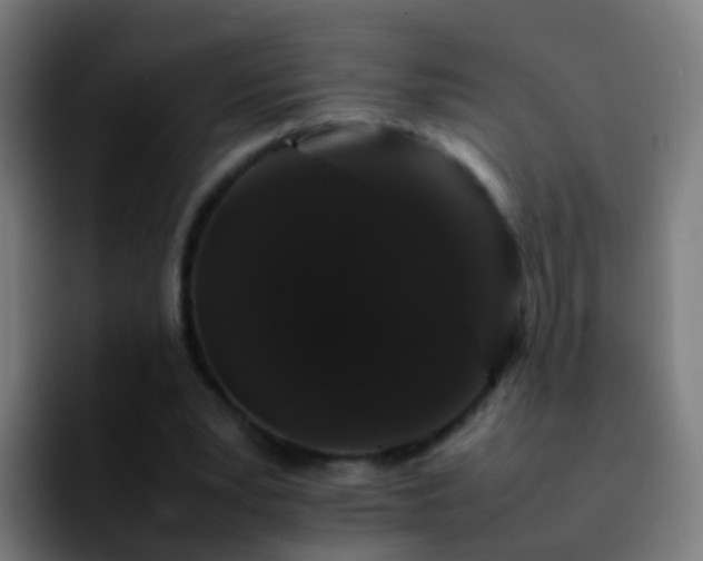 X0000092250391200709211105