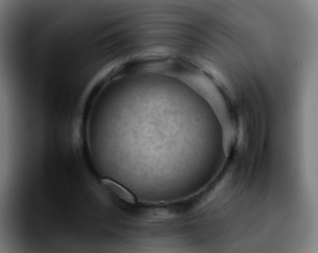 X0000092250392200709211105