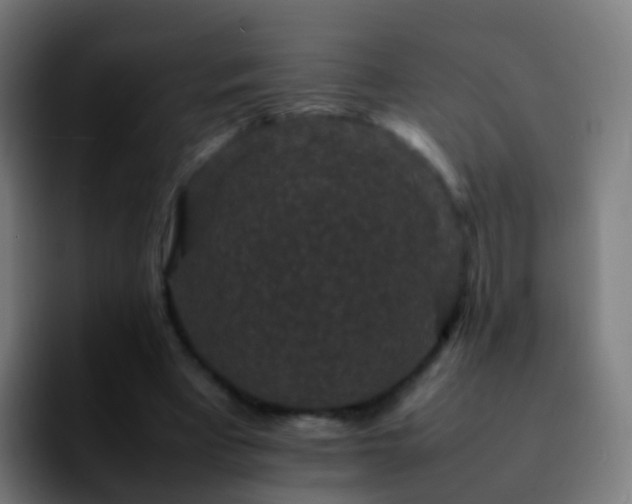 X0000092250393200709211105