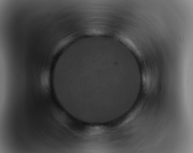 X0000092250396200709211105