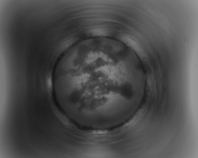 X0000092250398200709211105