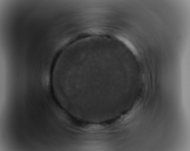 X0000092250399200709211105