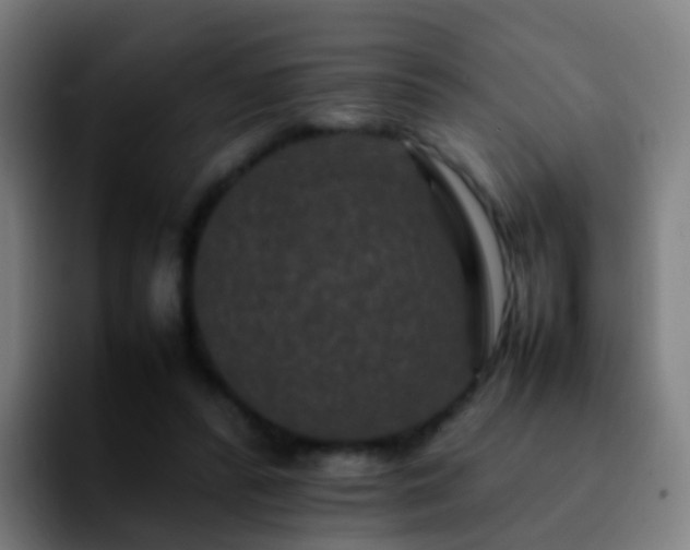 X0000092250400200709211105