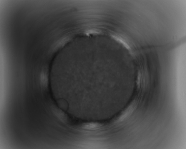 X0000092250402200709211105