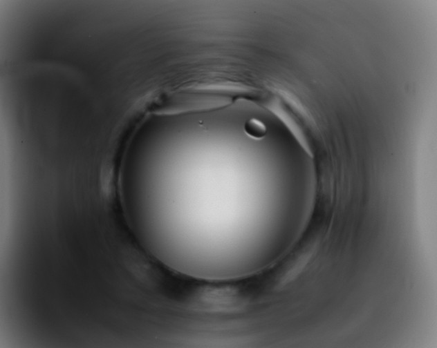 X0000092250403200709211105