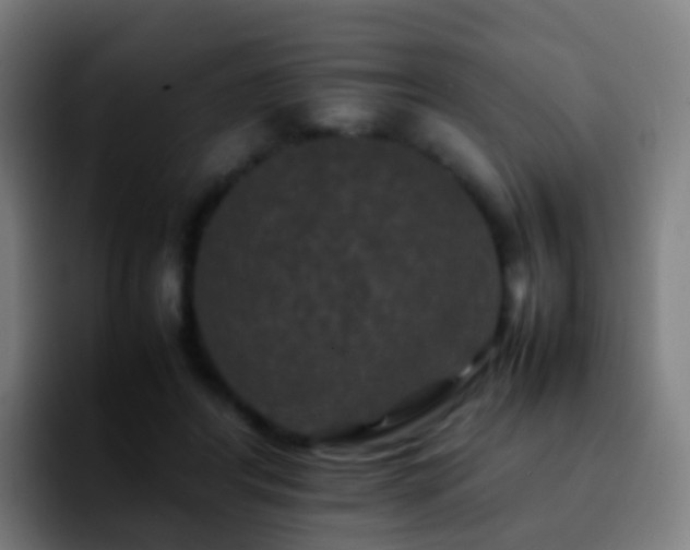 X0000092250404200709211105