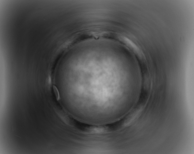 X0000092250405200709211105