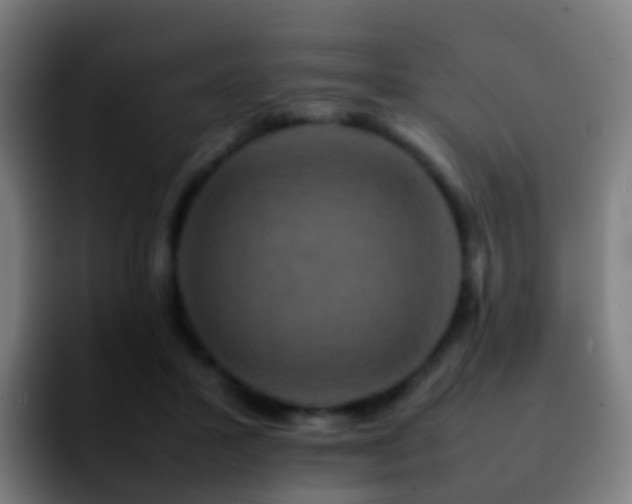 X0000092250407200709211105