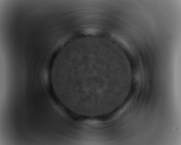 X0000092250408200709211105