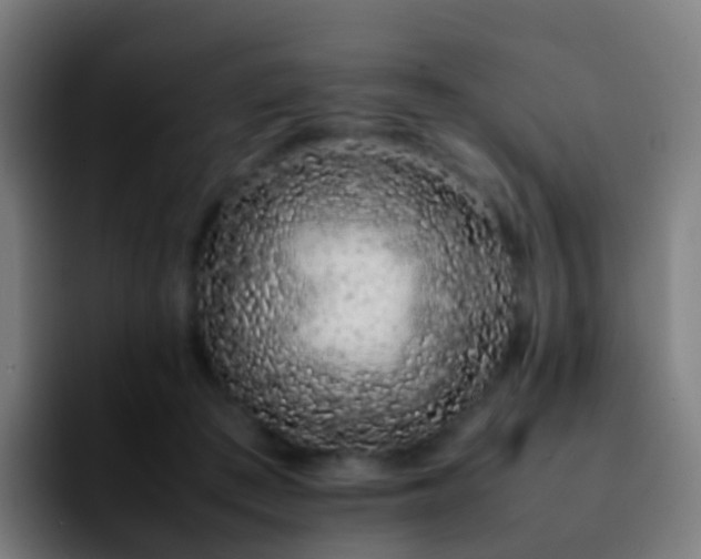 X0000092250409200709211105